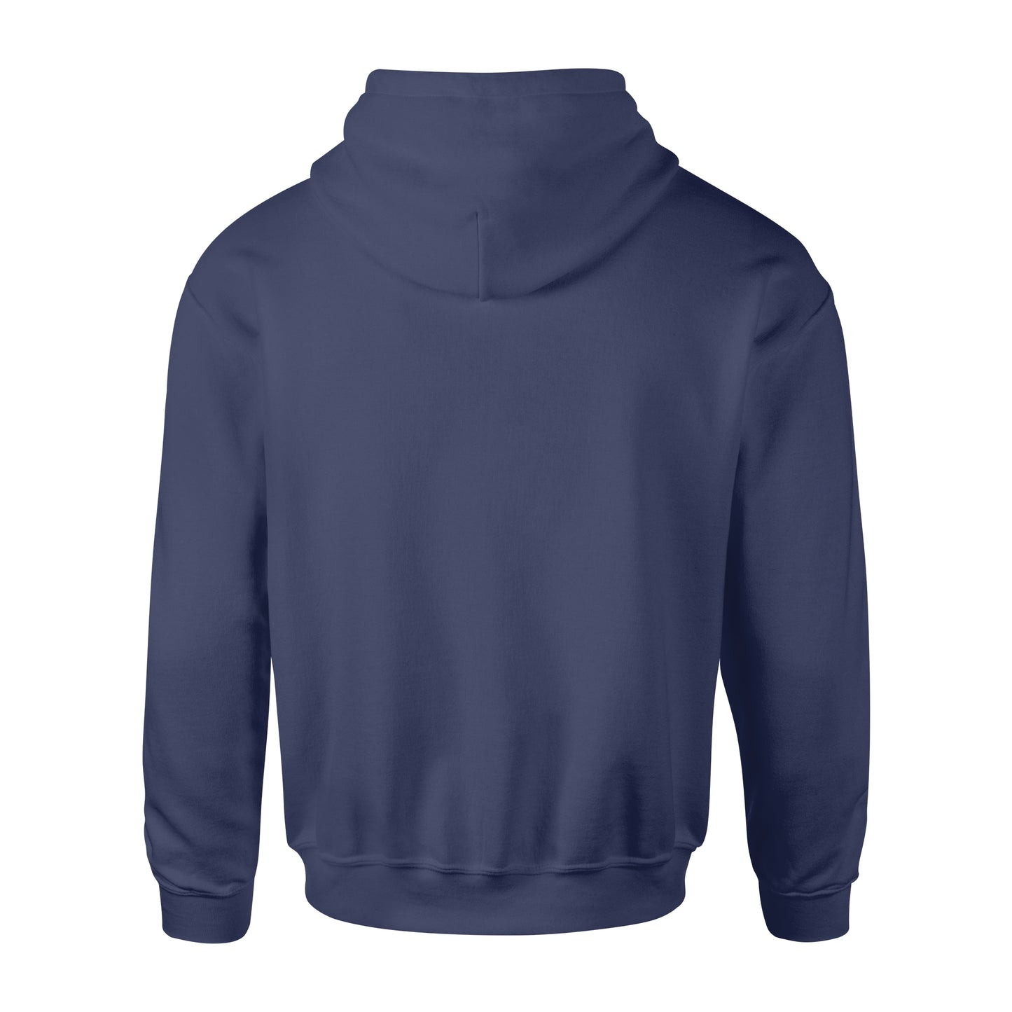 I Like Big Bucks And I Cannot Lie Hoodie - FSD62